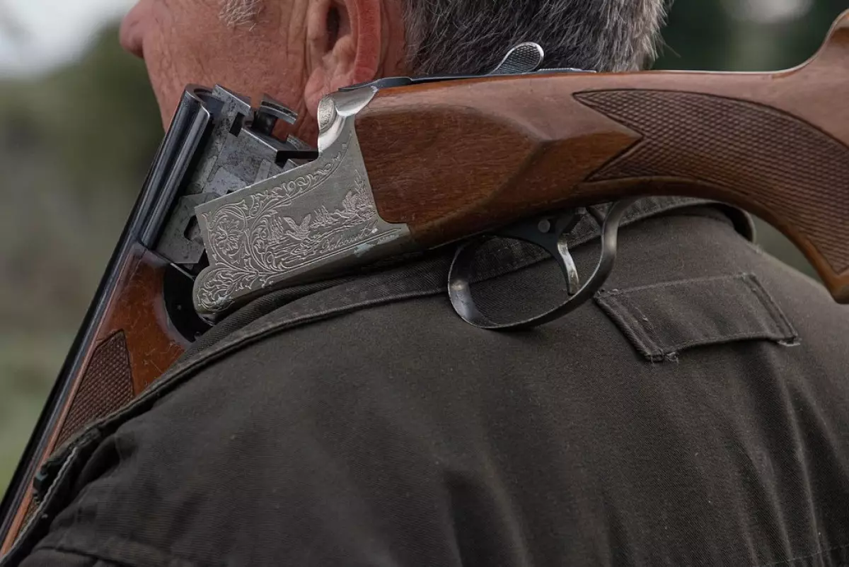 Охота за зайцем в Костанайской области обернулась уголовным делом