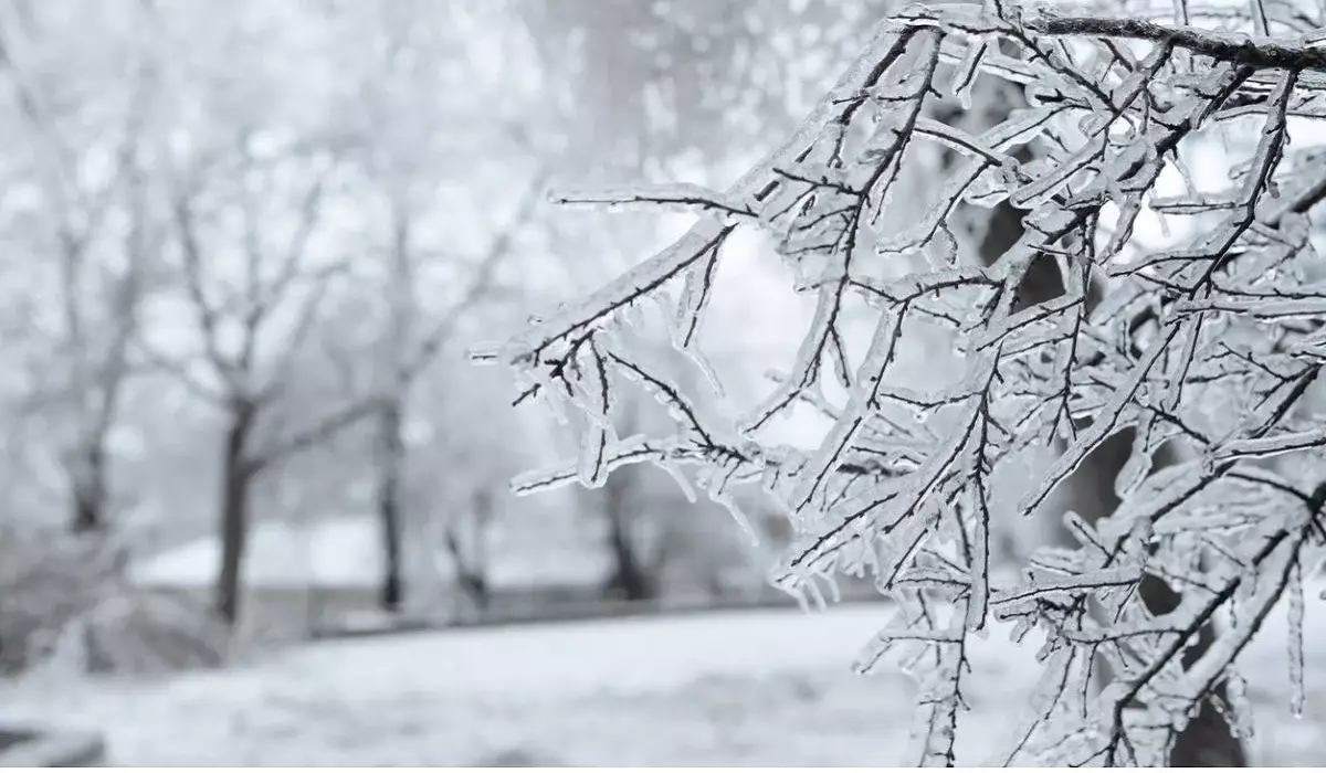 Қар, көктайғақ, бұрқасын: Қазақстанда 6 желтоқсанда ауа райы қандай болады