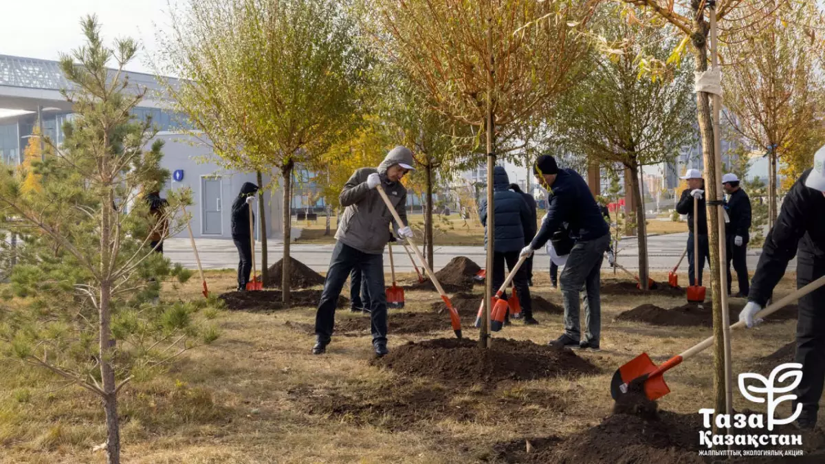 2027 жылға дейін елімізде 2 млрд ағаш егіледі