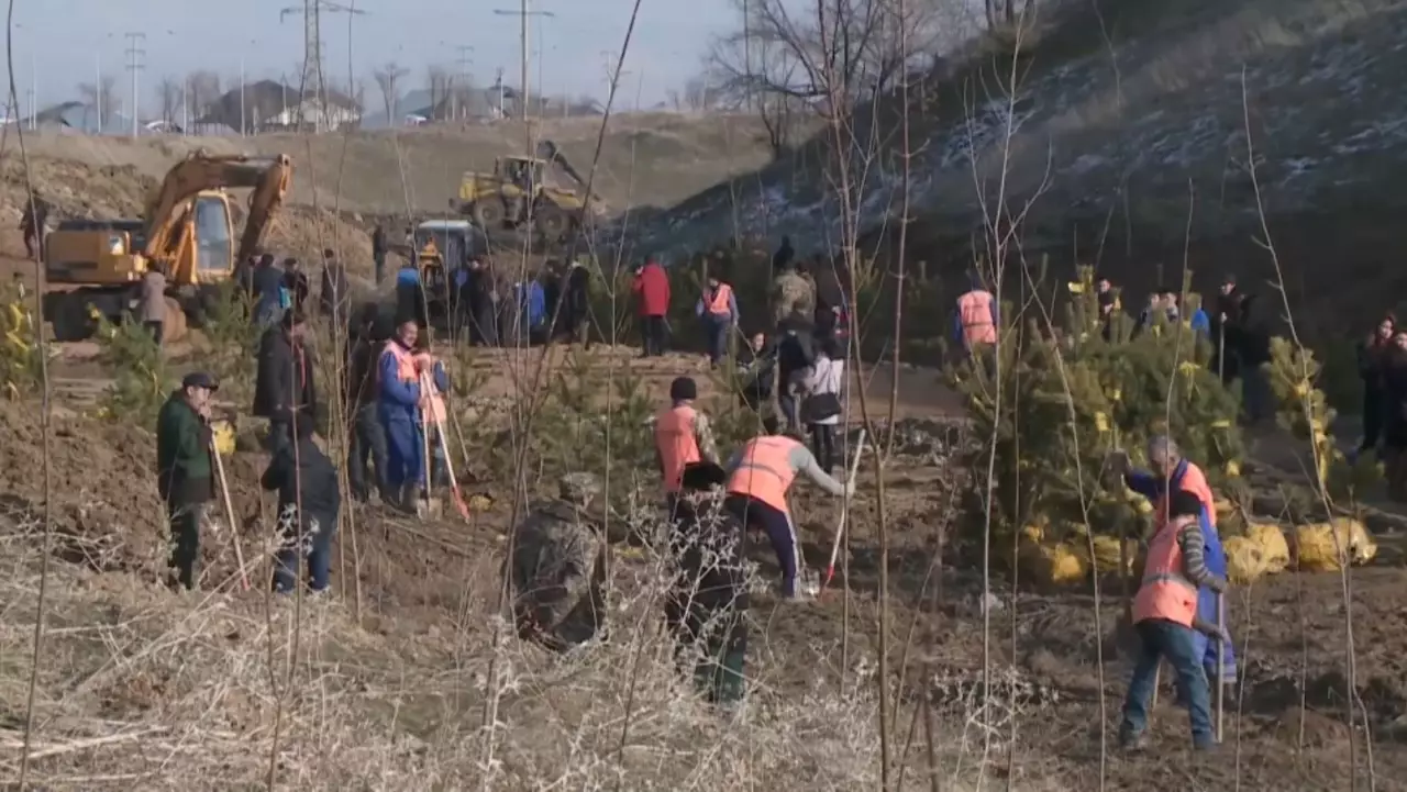 Шымкентте «Самал» шатқалы жалға берілді