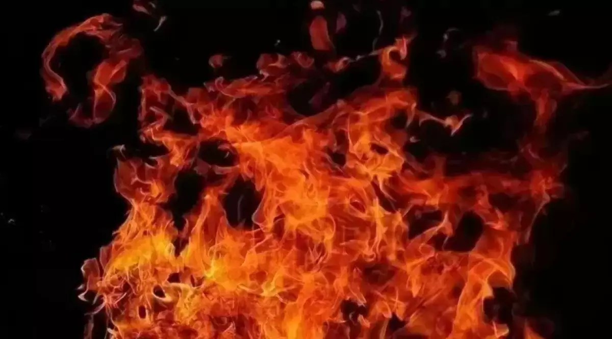 Алматы облысында шекара заставасындағы өрттен әскери қызметші мен баласы қаза тапты