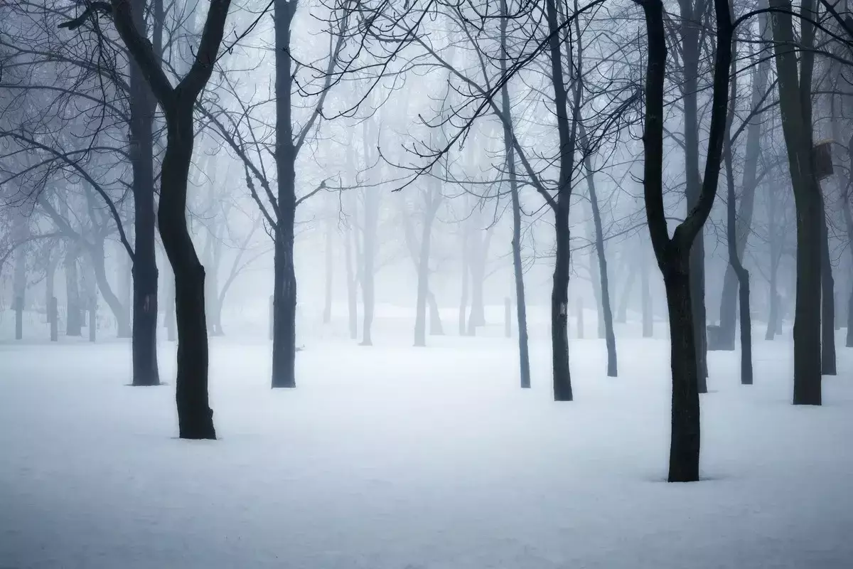 7 желтоқсан күнгі ауа райы болжамы жарияланды