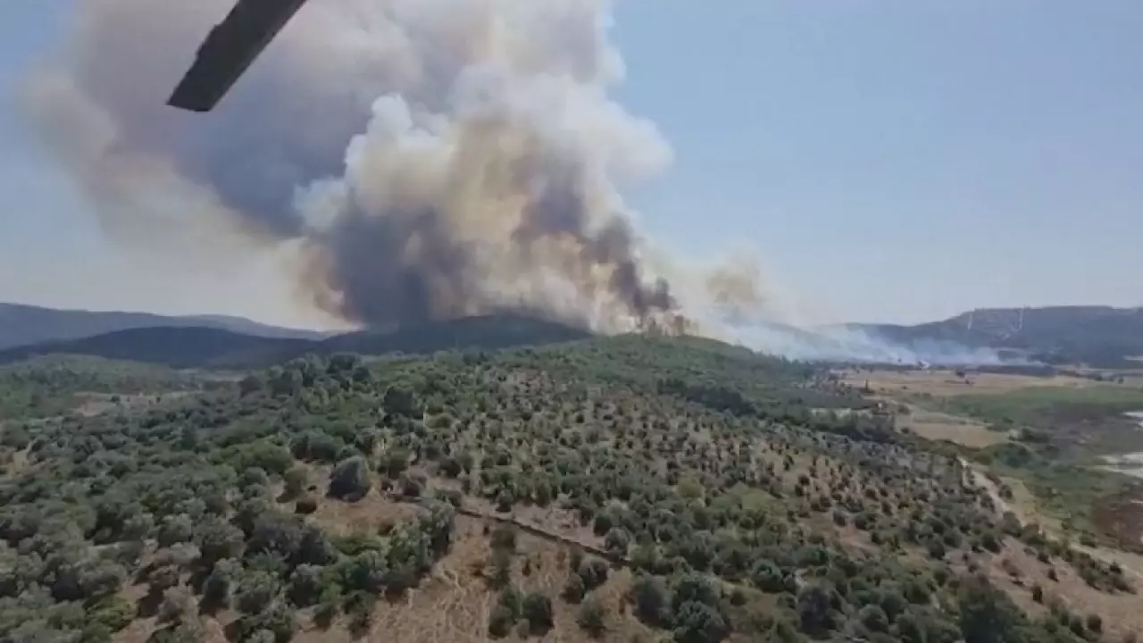 Австралияда орман өртінен он мың гектар жер жанып кетті