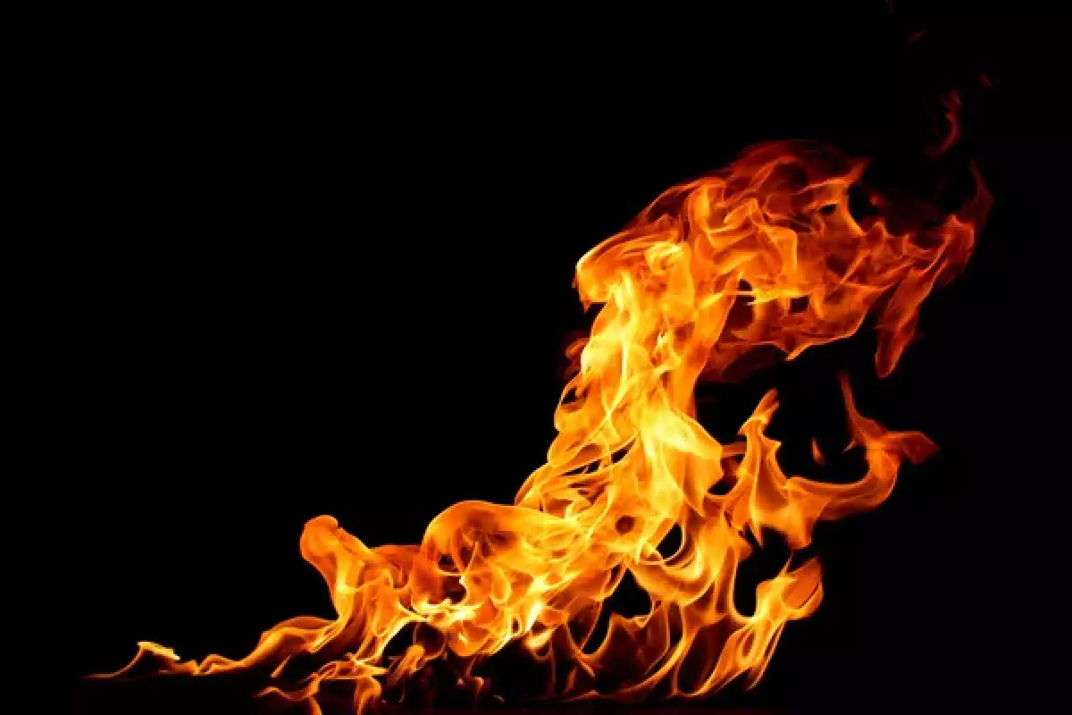 Крупный пожар на территории садоводческого товарищества тушат в Алматы