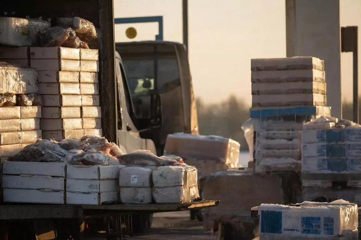 На астраханской границе забраковали 78 тонн рыбы из Казахстана.