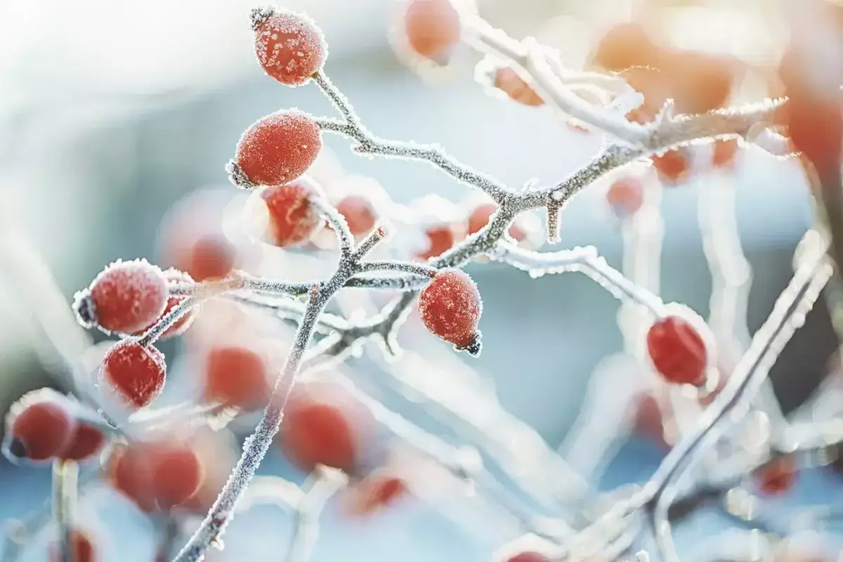 Алдағы үш күнде мегаполистердегі ауа райы қандай болады