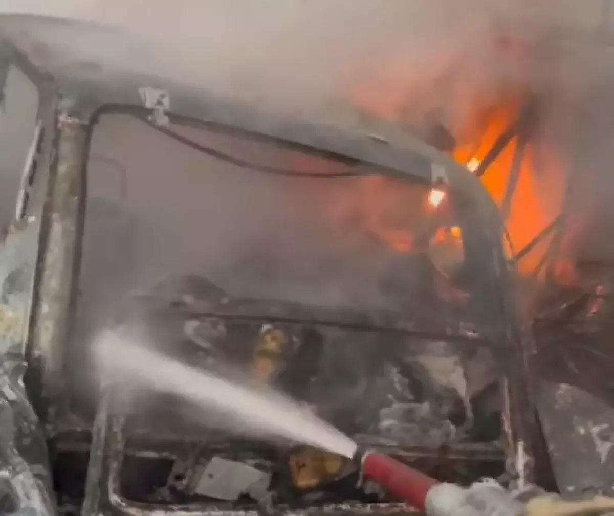 Крупный пожар произошел на территории садоводческого товарищества в Алматы