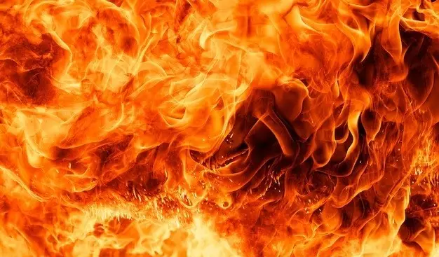 Крупный пожар в садоводческом товариществе в Алматы ликвидировали