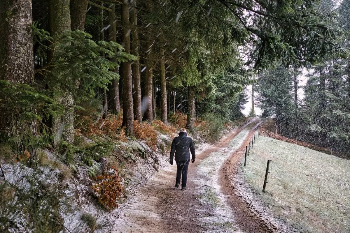 Снег с дождем и резкое похолодание ждут алматинцев