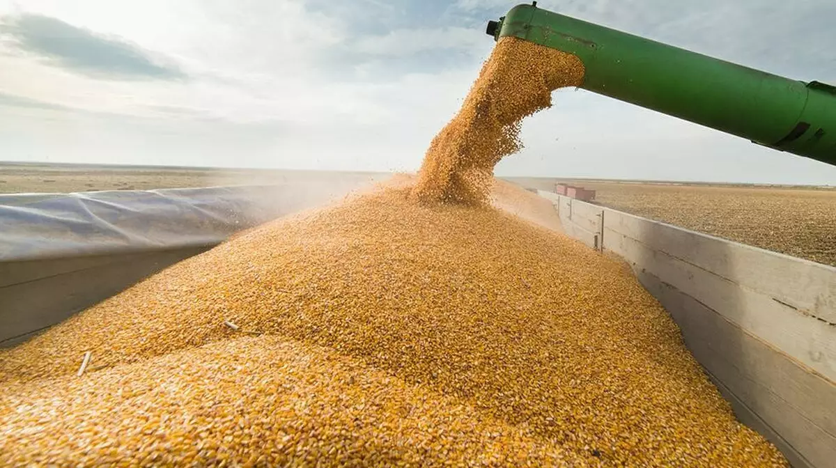 Терминалы Узбекистана перегружены зерном из Казахстана