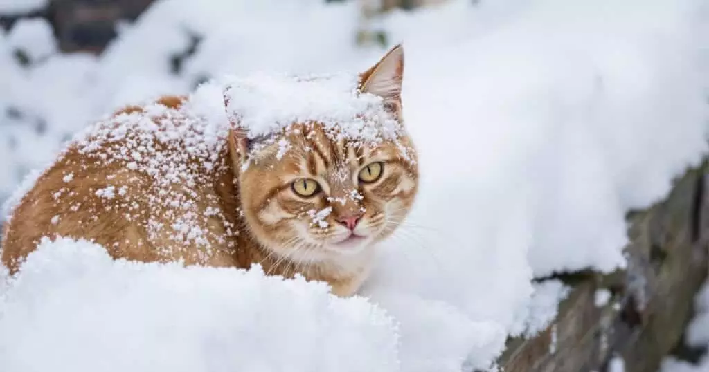 Штормовые предупреждения объявили почти по всему Казахстану.