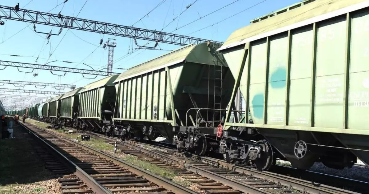  Көлік министрлігінде Өзбекстан шекарасындағы астық тасымалы мәселесі талқыланды 