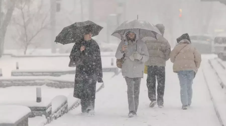 Қар мен үсік: Алматыда күн күрт суытады 