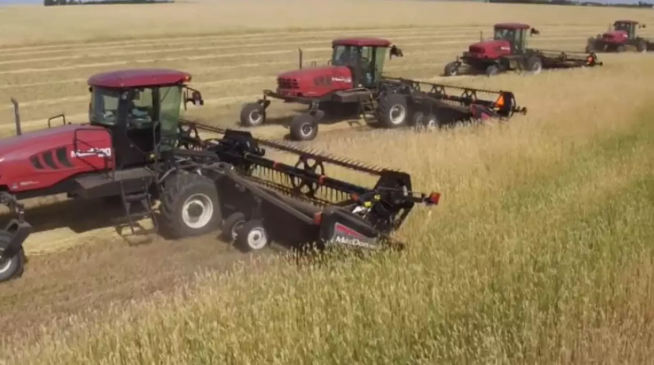 Казахстан и Узбекистан снизили стоимость перевозки зерна