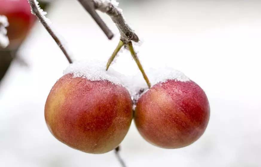 О резком ухудшении погоды предупредил акимат Алматы