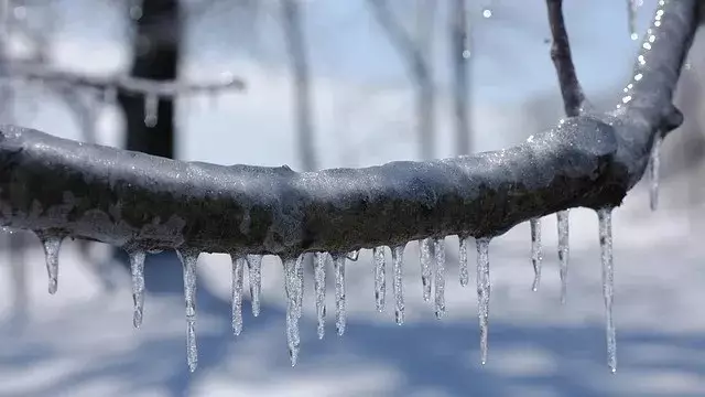 Қар, көктайғақ: 8 желтоқсанға арналған ауа райы