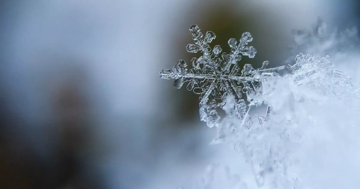   Алғашқы қар түскеннен кейінгі 5 кеңес   