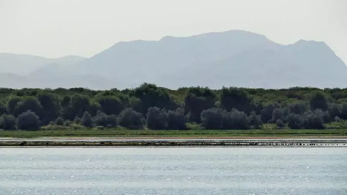 В Самаркандской области полностью пересохло водохранилище Карасу