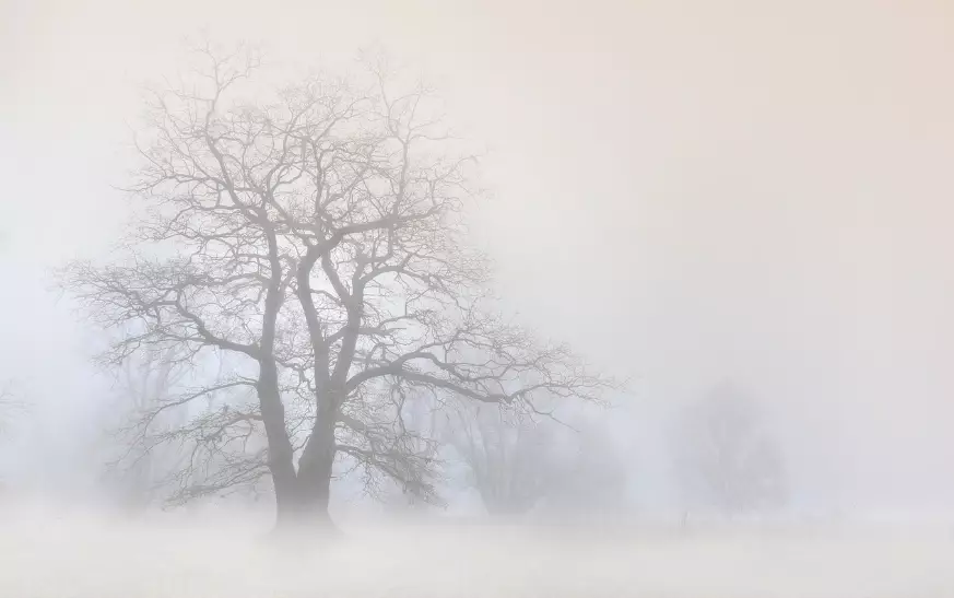Штормовые предупреждения на понедельник объявлены в 15 областях Казахстана