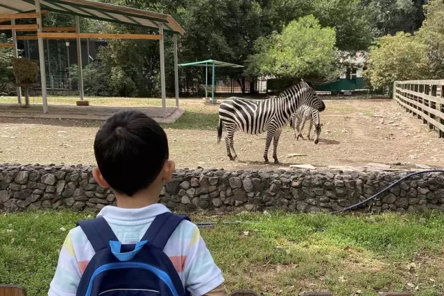 Алматы зообағы «екінші тынысын» ашпақ