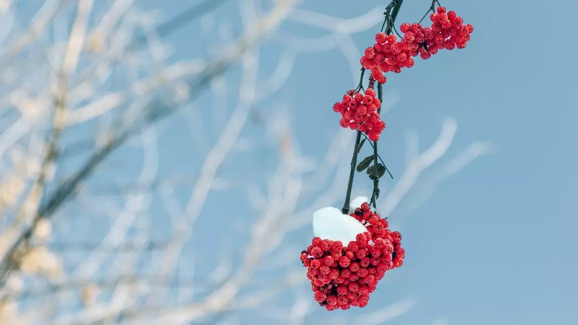 Қазақстанның бірнеше өңірінде жел күшейіп, ауа температурасы төмендейді