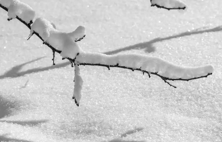 Осадки ожидаются в понедельник в Астане, Алматы и Шымкенте