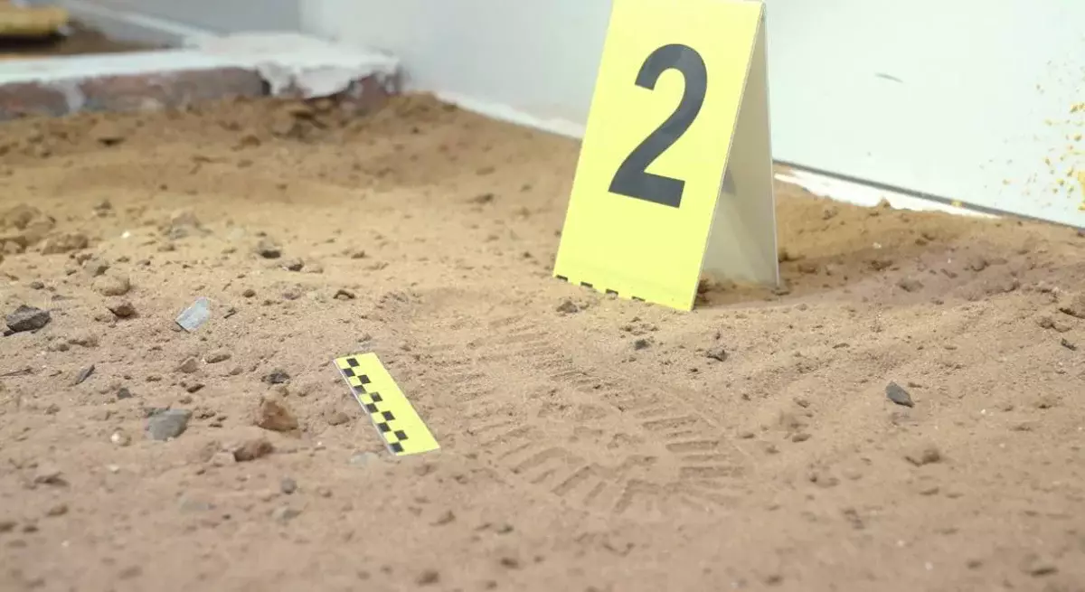 Более 8 тысяч преступлений раскрыли казахстанские криминалисты за 2025 год