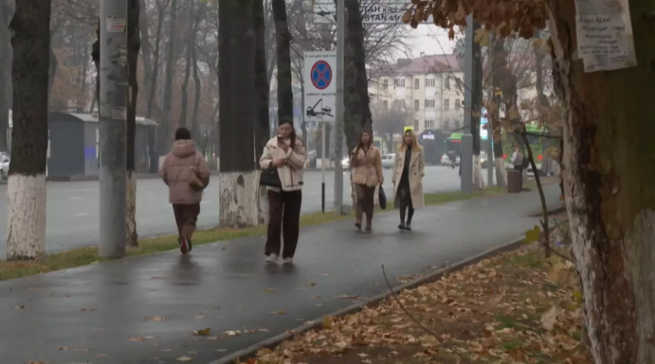 На 26% выросло число случаев интернет-мошенничества