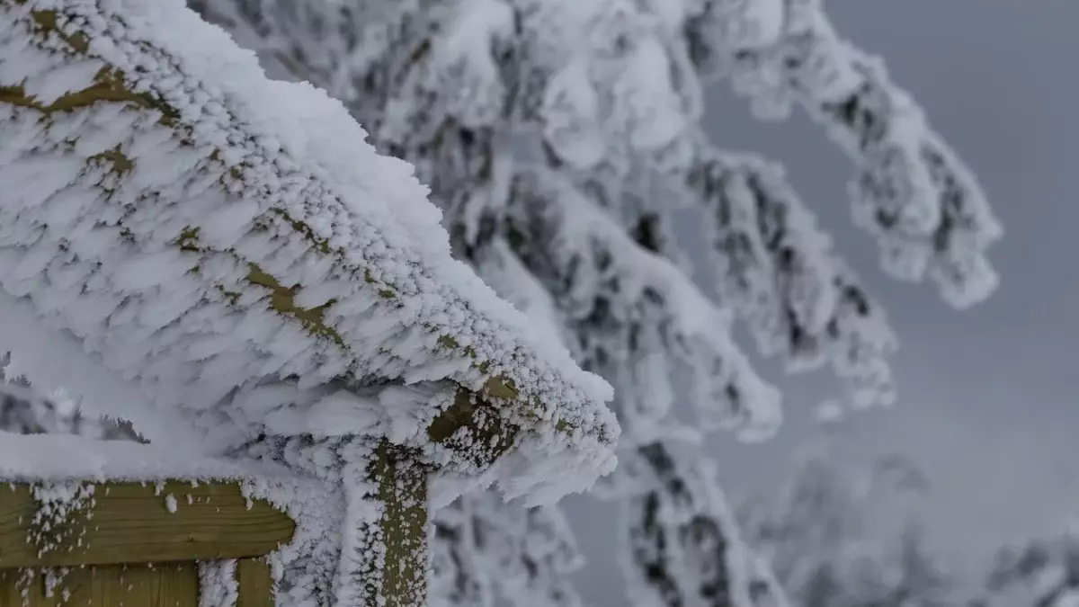 Қазақстанда алдағы күндері 35 градус аяз болады