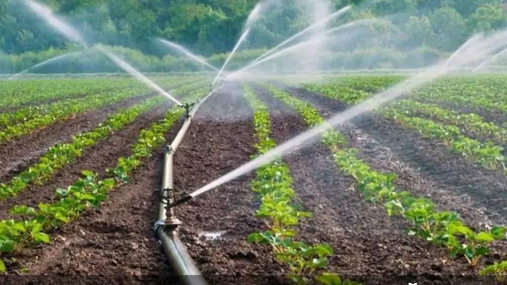 2025 жылы суару маусымы қалай өтті: Нәтиже жарияланды