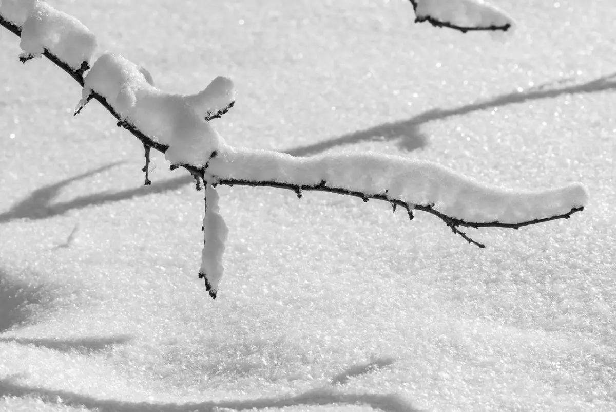 Мороз до -35°С придёт на север и восток Казахстана