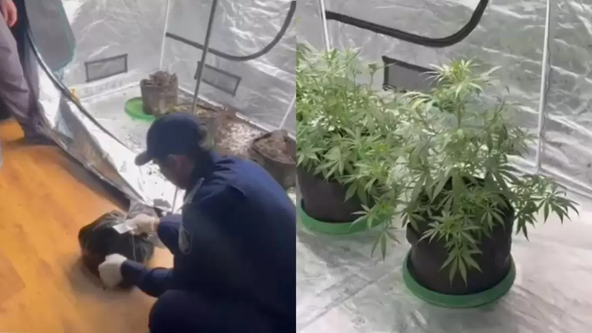 Алматыдағы көпқабатты үйден есірткі "зертханасы" табылды