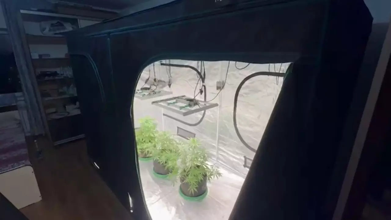 Нарколабораторию ликвидировали в квартире Алматы