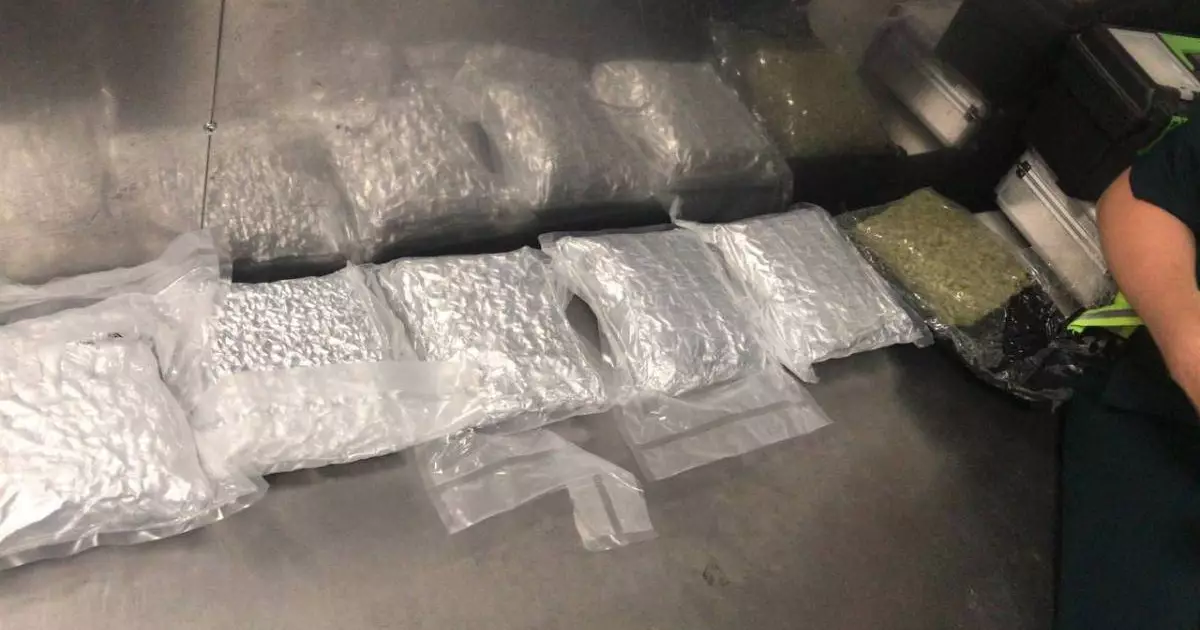  Алматы әуежайына 3 келі есірткі алып келген Үндістан азаматы 15 жылға сотталды 