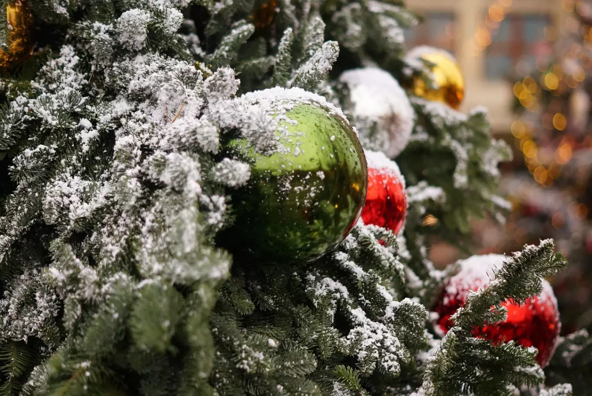 Власти ЗКО выделили 11 млн тенге на празднование Нового года