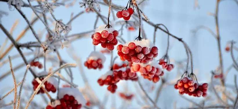 Штормовое предупреждение объявили в нескольких регионах Казахстана