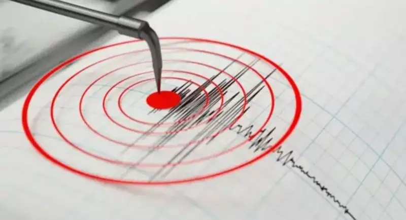 Сильнейшее за год землетрясение произошло на севере Японии