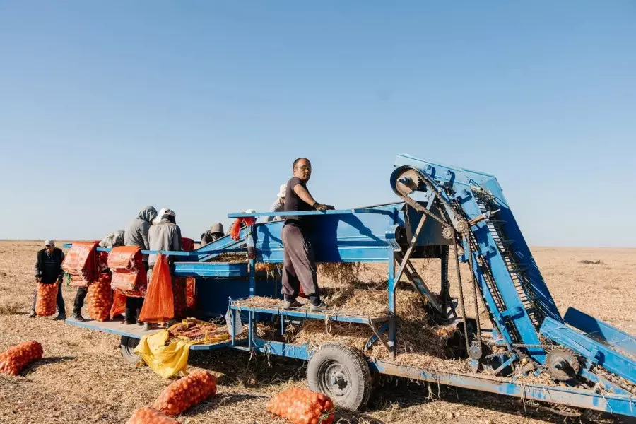 Атырау облысында ауыл шаруашылығы өнімдерінің жалпы шығарылымы 116,8 млрд теңгеге жетті