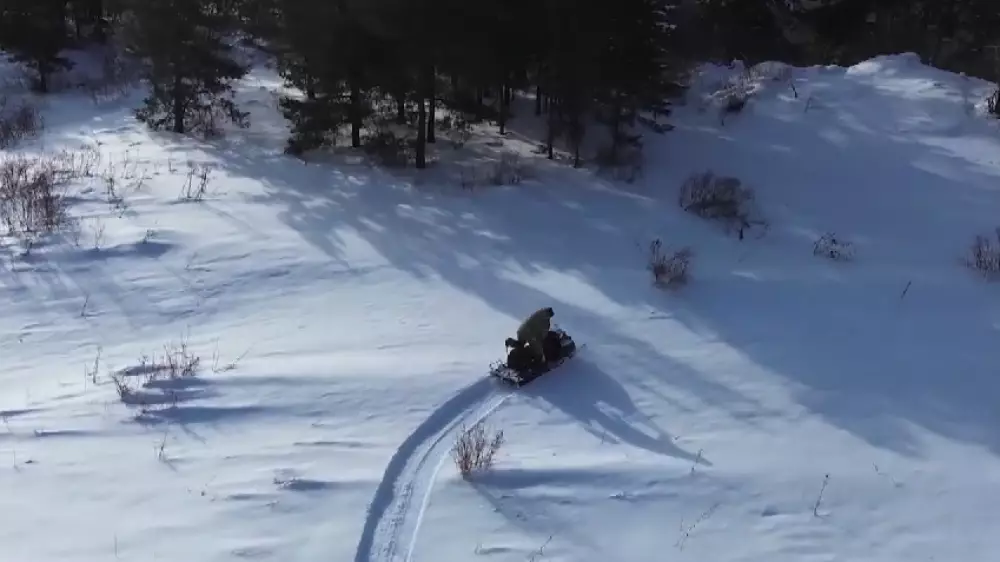 Охрану хвойных лесов усилили на востоке Казахстана