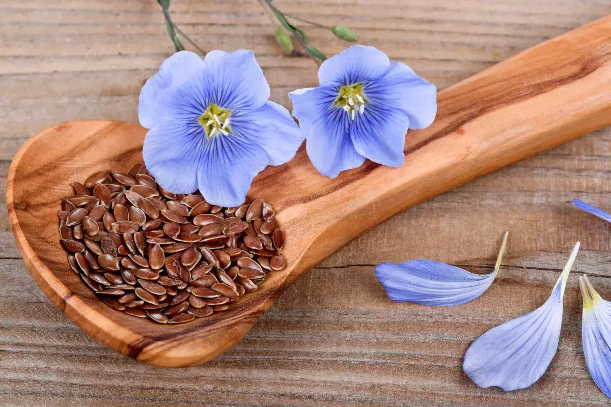 Жесткая конкуренция на рынке льна между Казахстаном и Канадой прогнозируется в ЕС.