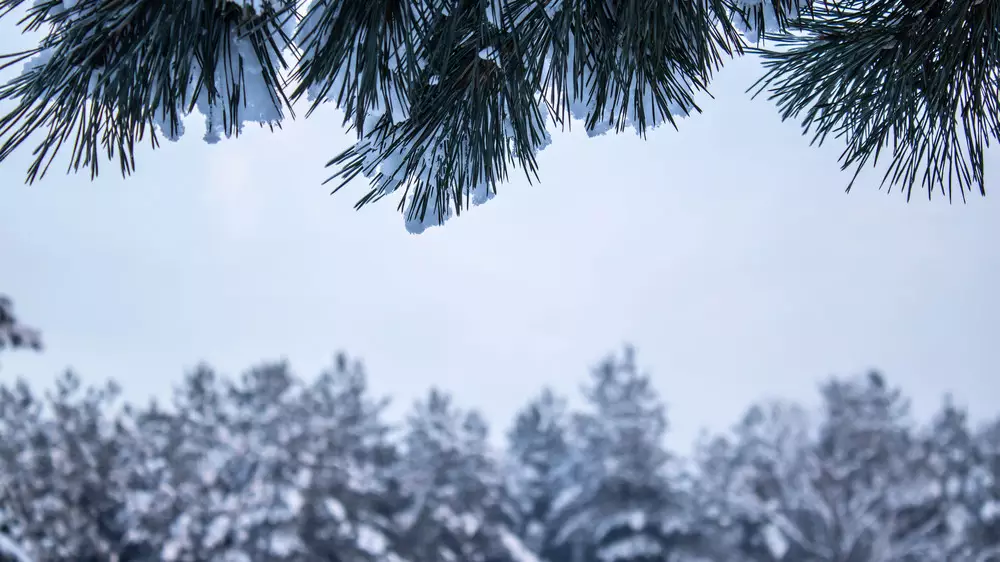 Прогноз погоды на вторник: морозы до –25 и снегопад обрушатся на Казахстан