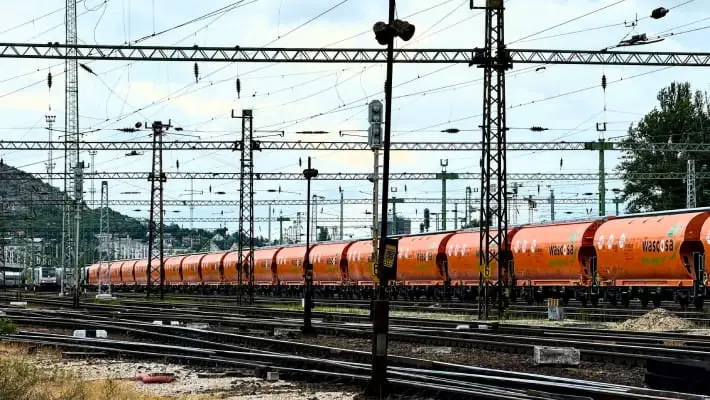 На границе Казахстана и Узбекистана скопилось более 11 тыс. вагонов