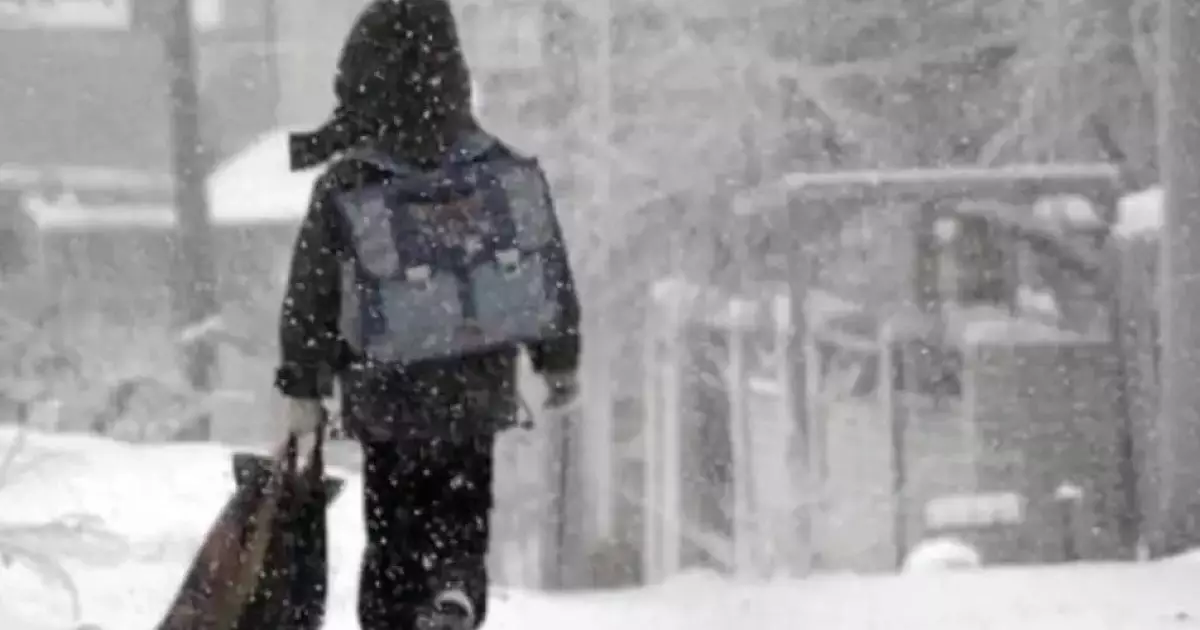  Қостанай облысында аязға байланысты 1-сынып оқушылары қашықтан оқиды 