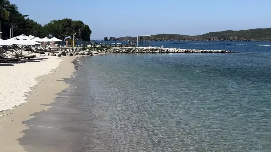 Развлечение с акулами на Мальдивах закончилось травмой туристки