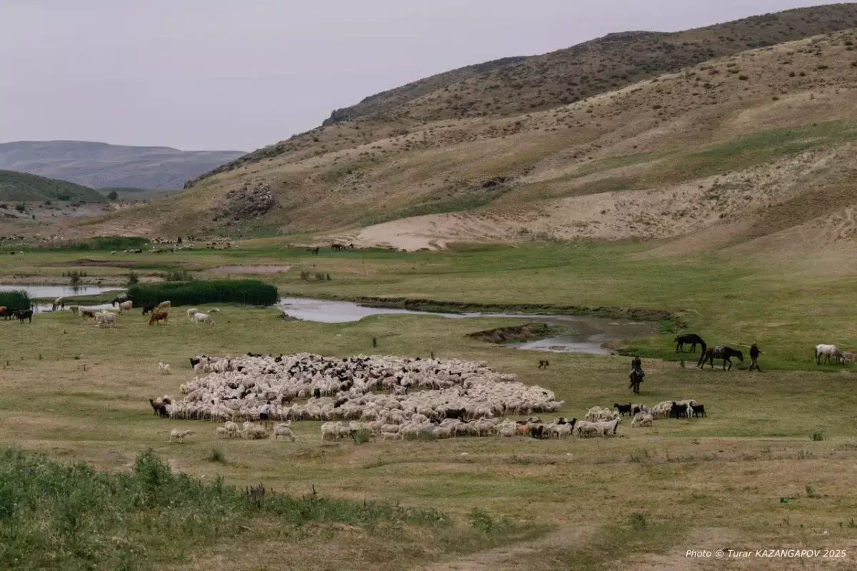 В правительстве заявили, что Юг Казахстана снова на грани засухи
