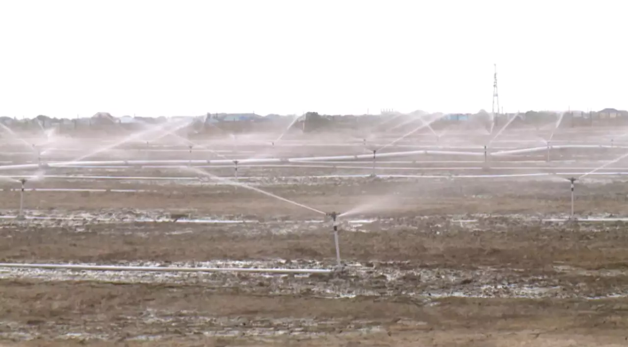 Посевы культур с высоким расходом воды сократят в Казахстане