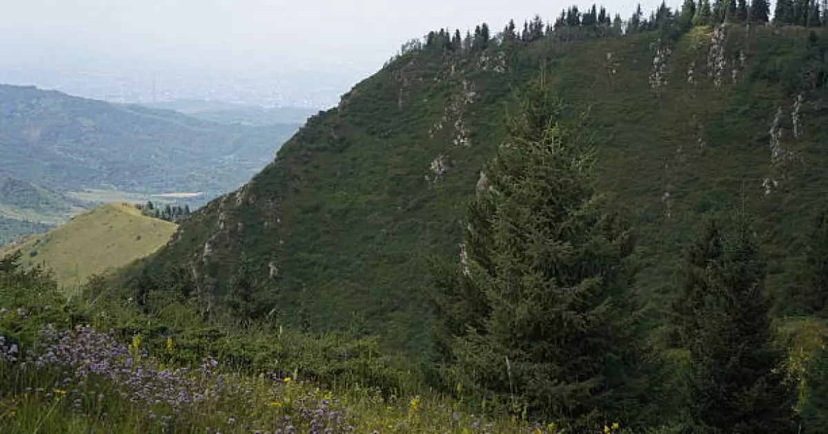   Үндістанның киногерлері еліміздің туристік орындарында фильм түсіреді   