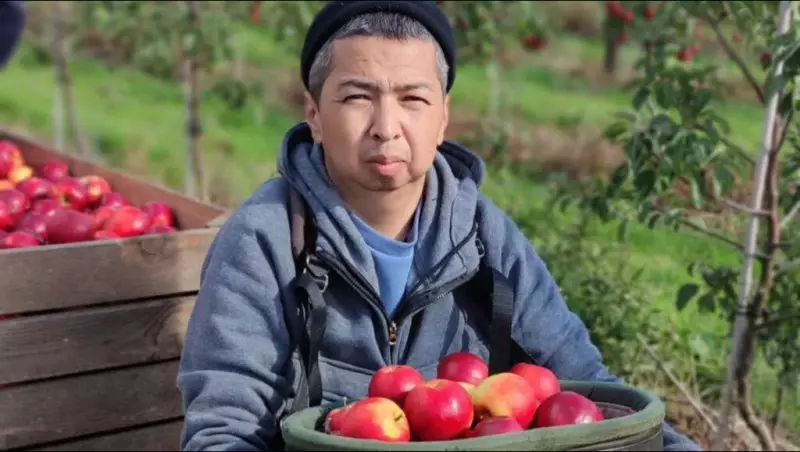 "Свыше миллиона чистыми": казахстанец рассказал о подработке в Англии