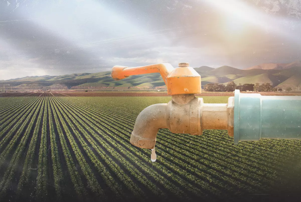 В Туркестане прогнозируют водный дефицит: что изменится в аграрной политике региона