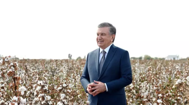 "Мы 27 лет мучились": Мирзиеев сообщил о новом достижении Узбекистана